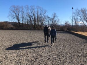Fellwechsel bei Pferd und Hund – gegen den Strich gekrault