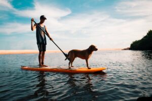 Sommerzeit ist Reisezeit – So gelingt der Urlaub mit Hund
