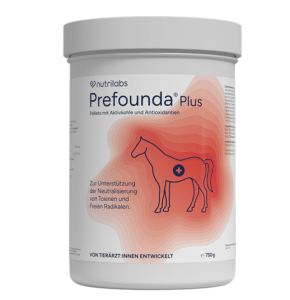 Nutrilabs Prefounda Plus product image
