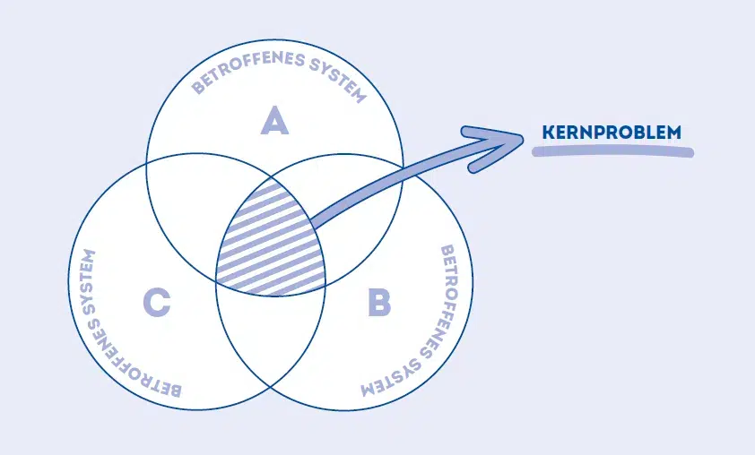 Drei überlappende Kreise symbolisieren betroffene Körpersysteme beim Hund. Im Schnittbereich liegt das Kernproblem, das durch Geridex unterstützt wird